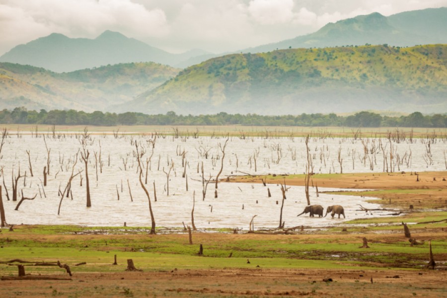 Trip to Sri Lanka, Part 1